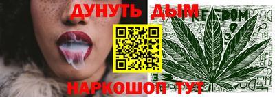 мдпв Дубна