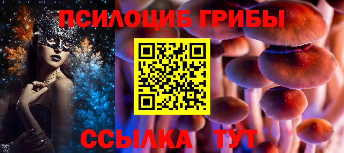 Галлюциногенные грибы Magic Shrooms Касимов