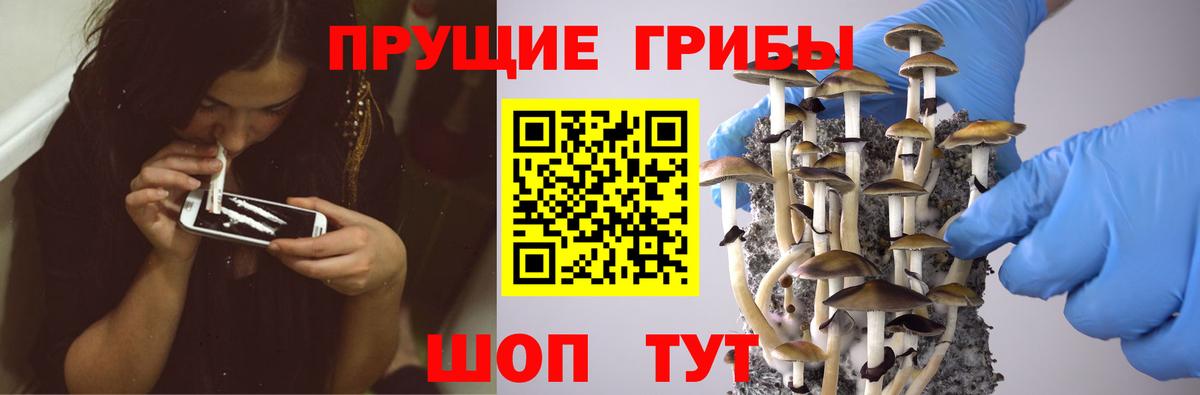 Псилоцибиновые грибы GOLDEN TEACHER  Вход с VPN  Касимов 