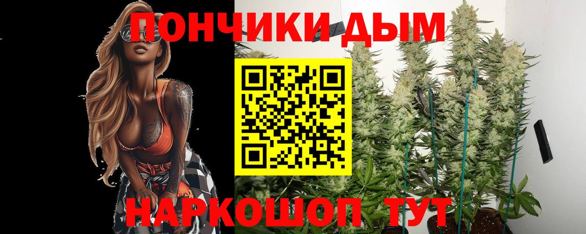 Бошки марихуана тримм  Вход с VPN  Касимов  Конопля Amnesia  Бошки марихуана план  Шишки марихуана Amnesia 