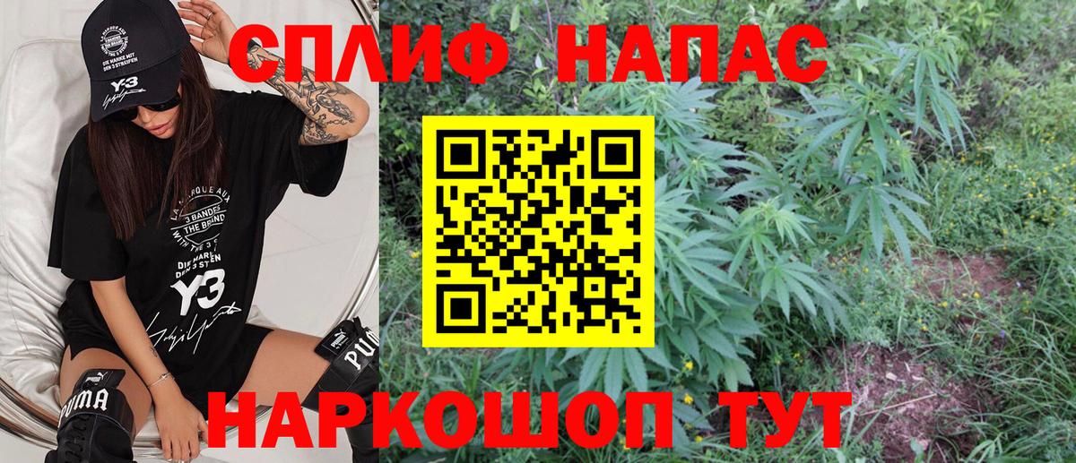 Марихуана сатива Касимов